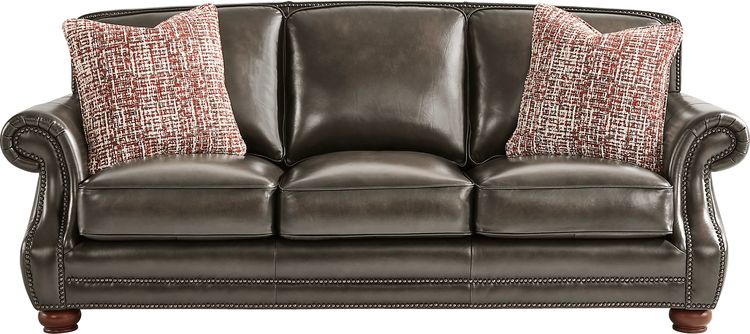 sleeper sofa