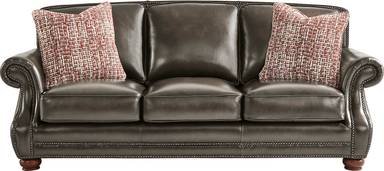 sleeper sofa