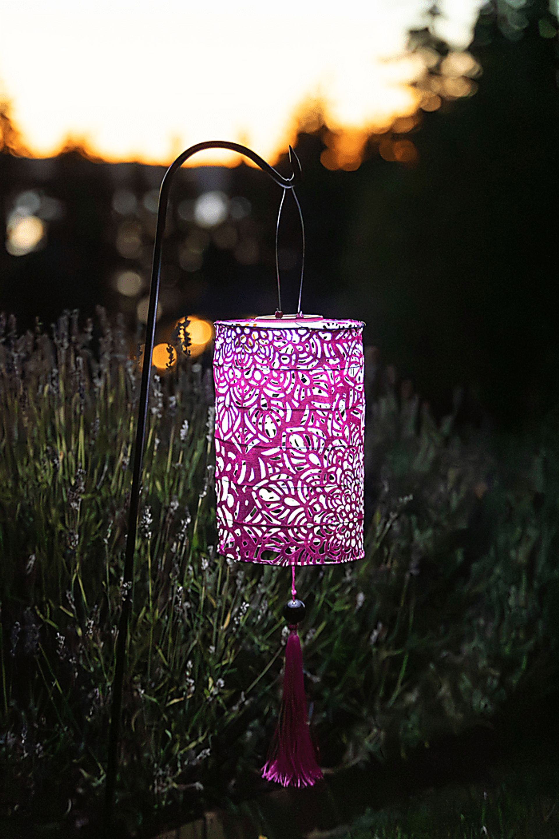 Calypso Raspberry Outdoor Solar Lantern - Image 2