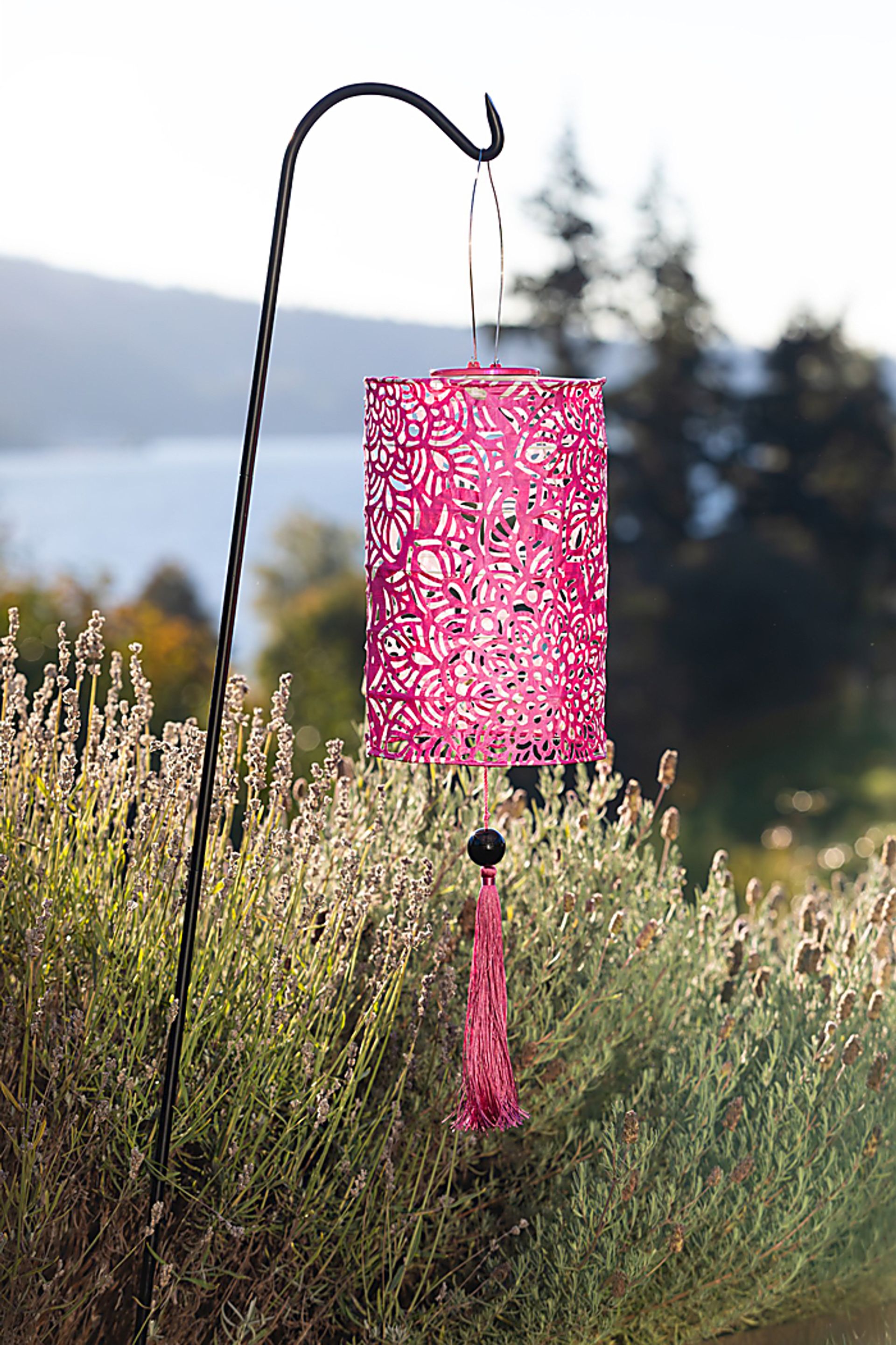 Calypso Raspberry Outdoor Solar Lantern - Image 3