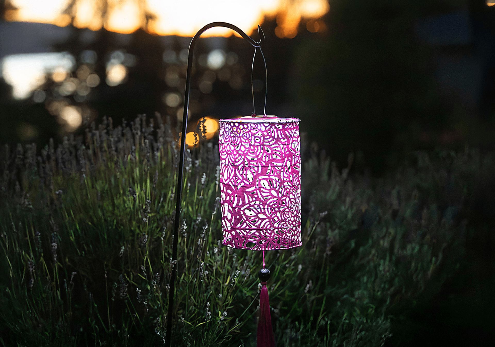Calypso Raspberry Outdoor Solar Lantern - Image 8