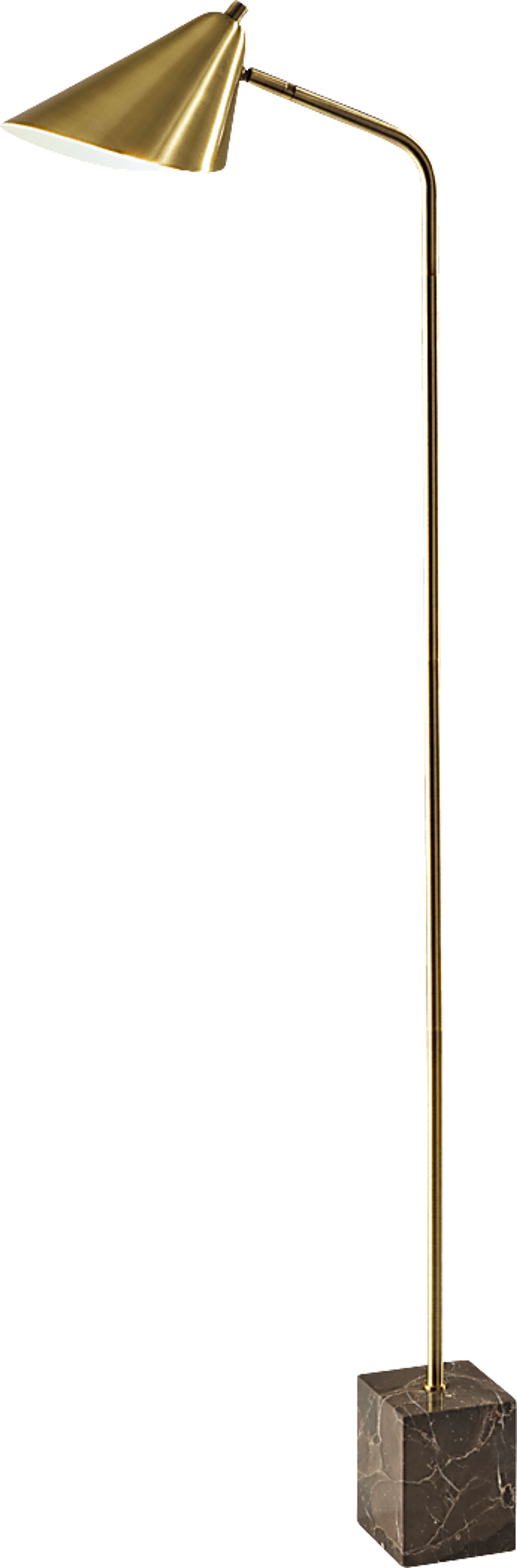 Cambrian Way Brass Floor Lamp - Image 1