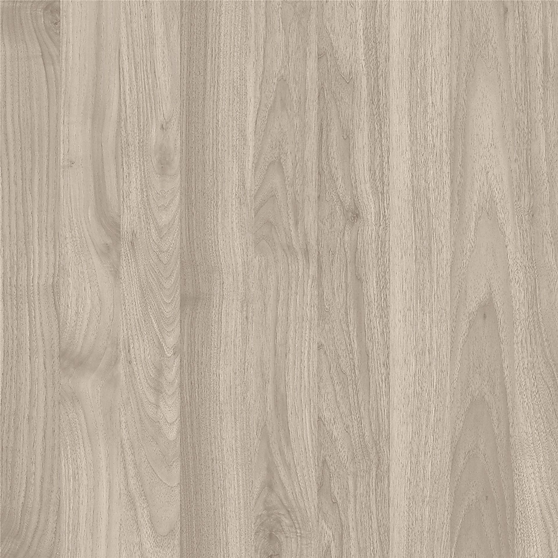 Campanella Walnut Desk - Image 11