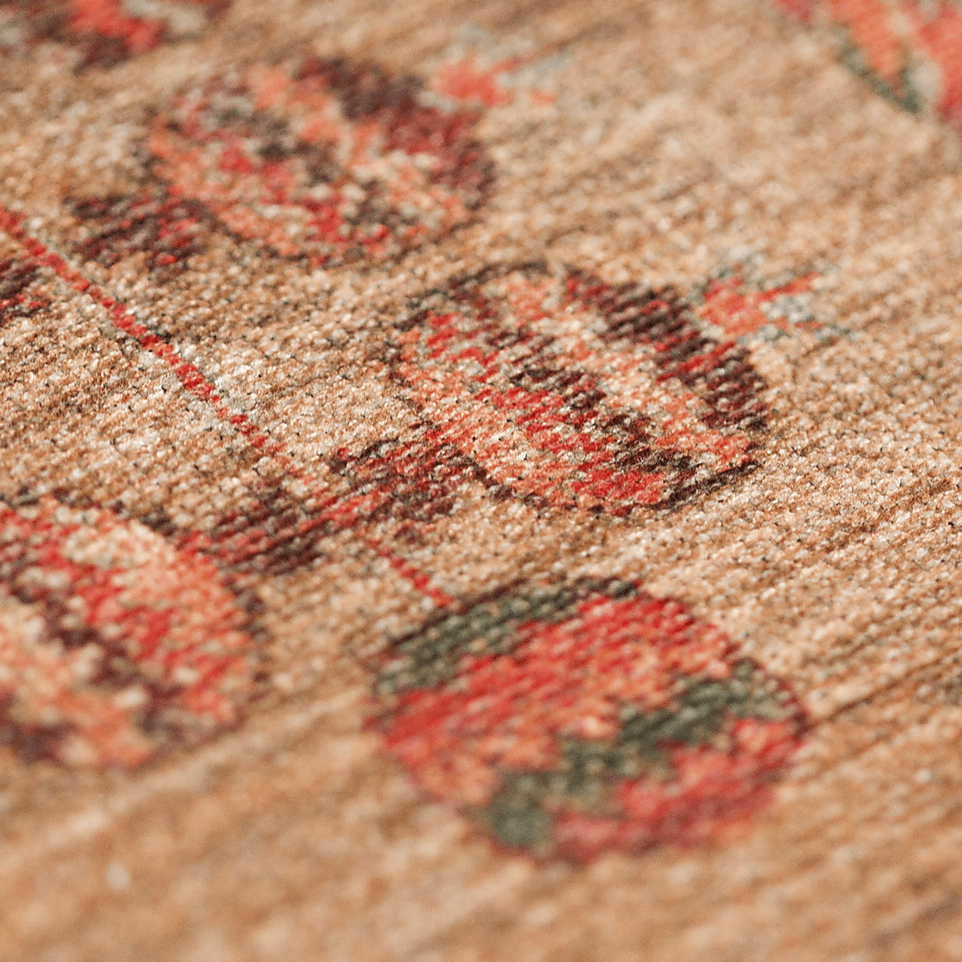 Canolan Multi 8' x 10' Rug - Image 4