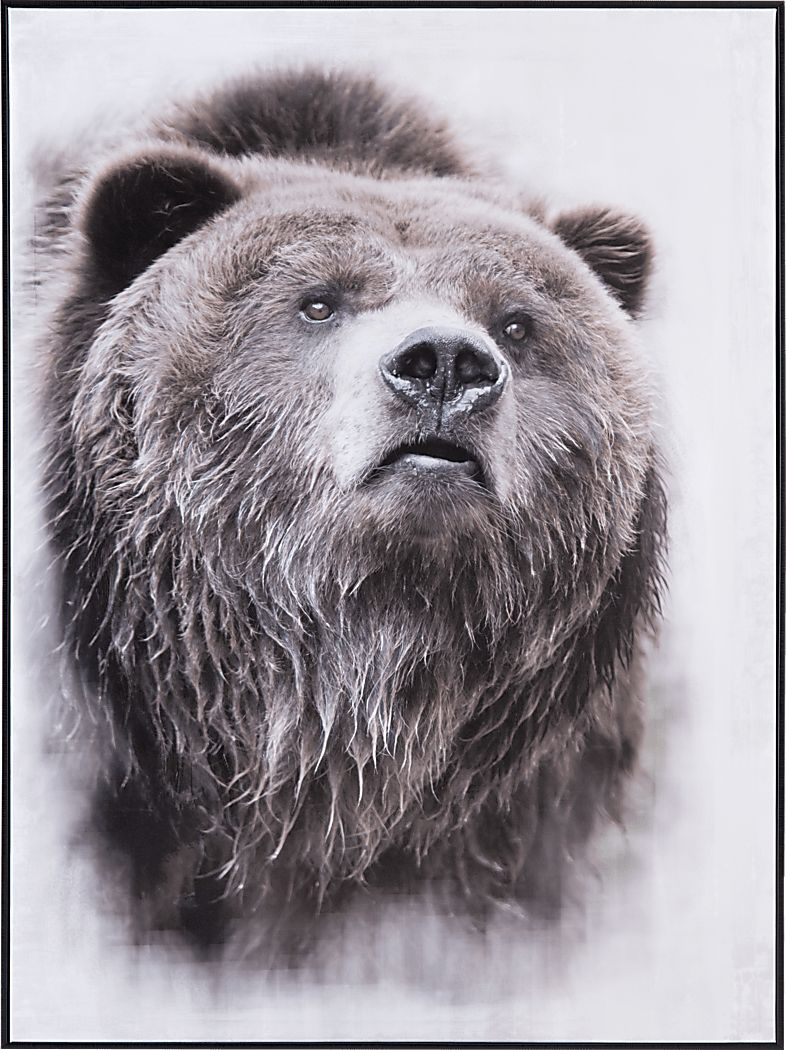 Cantrice Black Artwork