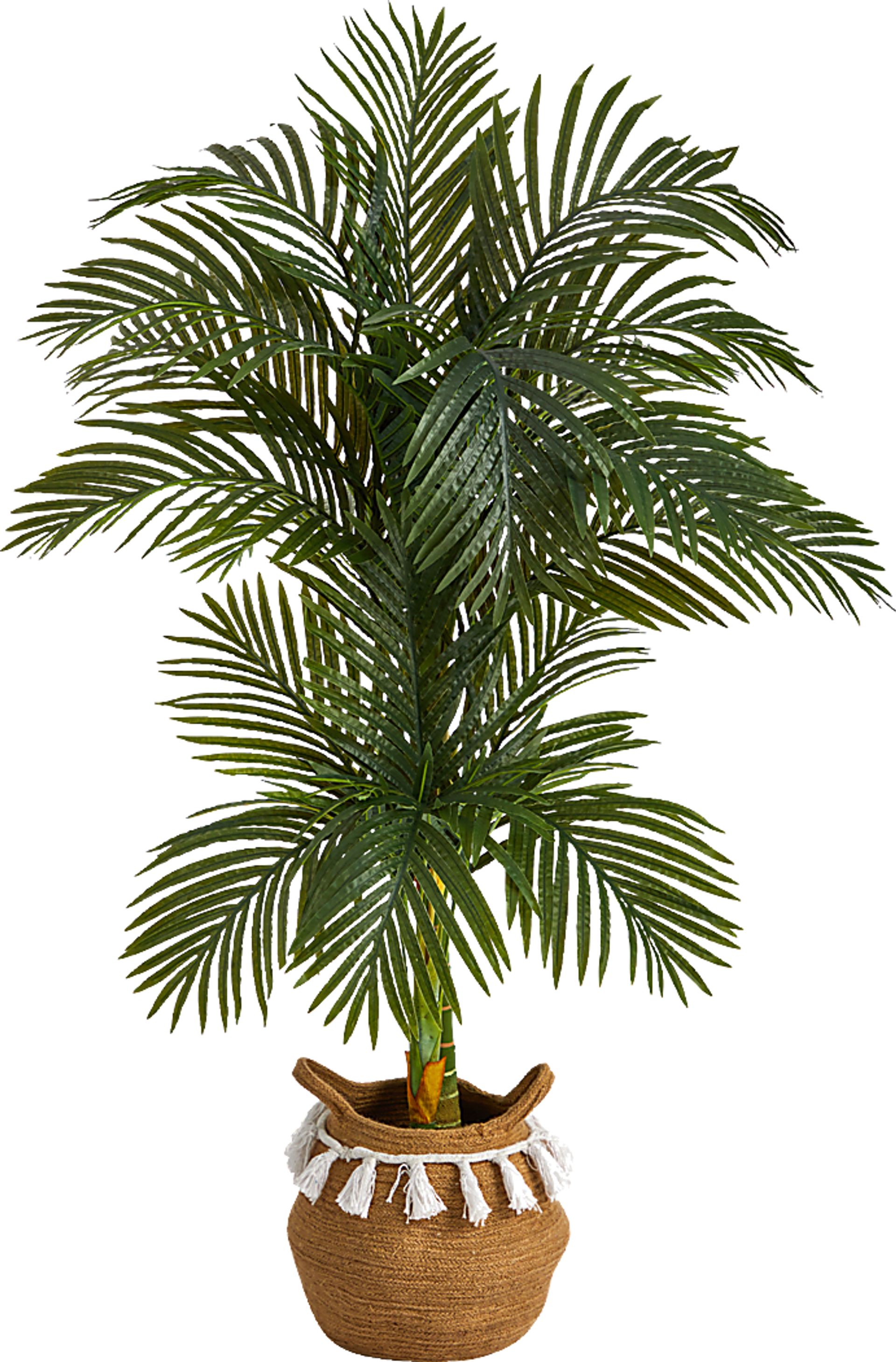 Capazo Green Tree with Basket - Image 1