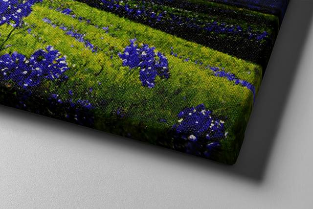Carant II Blue Artwork - Thumbnail - Image 2