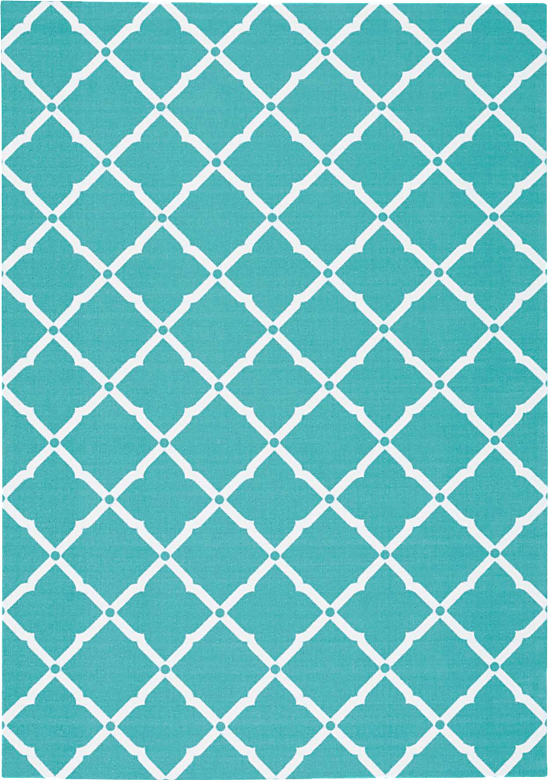 Carlisia Aqua 5' x 8' Indoor/Outdoor Rug - Image 1
