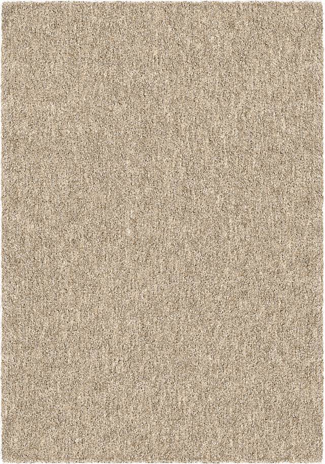 Carolina Wild Steel Beige 7'10 x 10'10 Rug - Thumbnail - Image 1