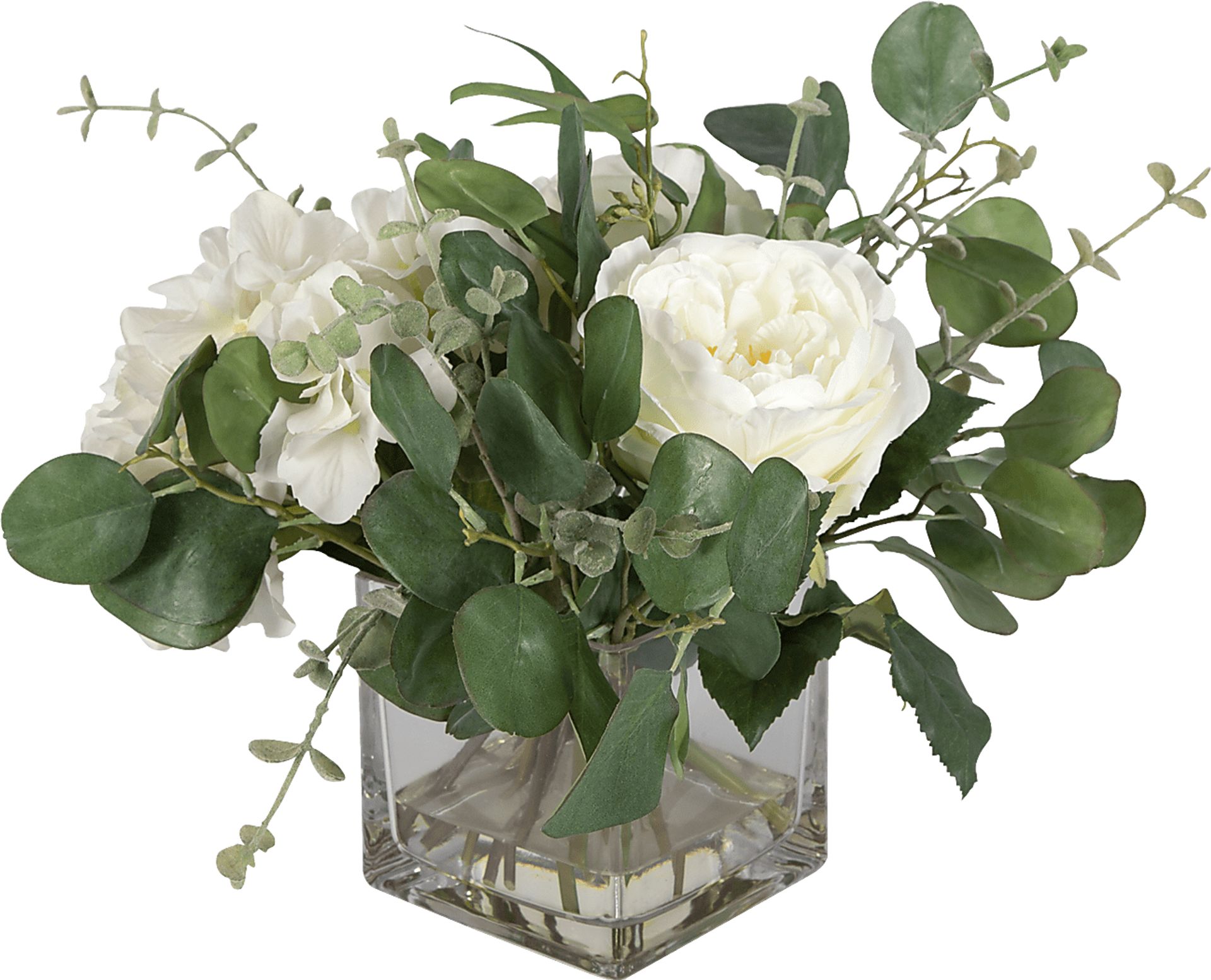 Carolus White Plant - Image 4