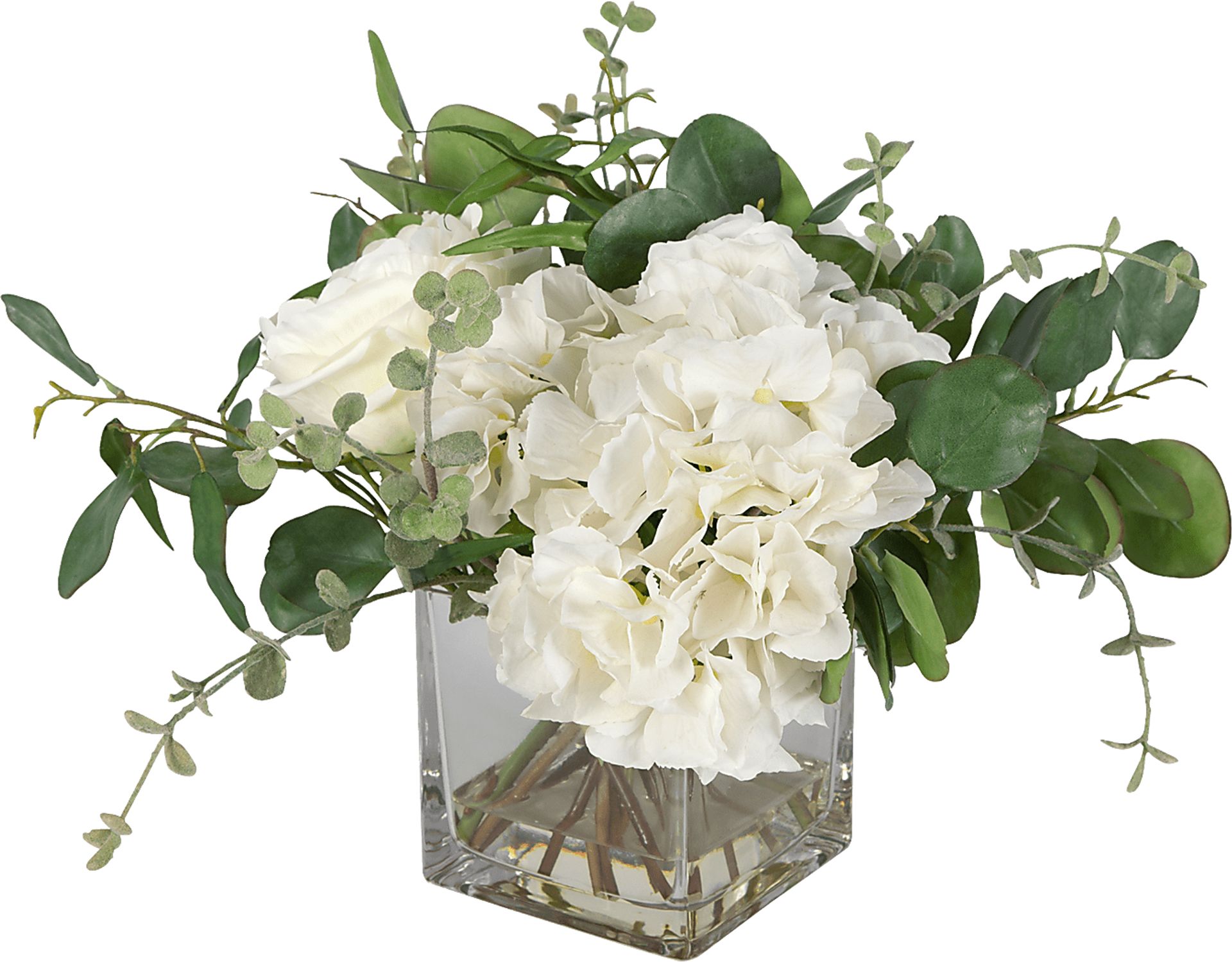 Carolus White Plant - Image 1