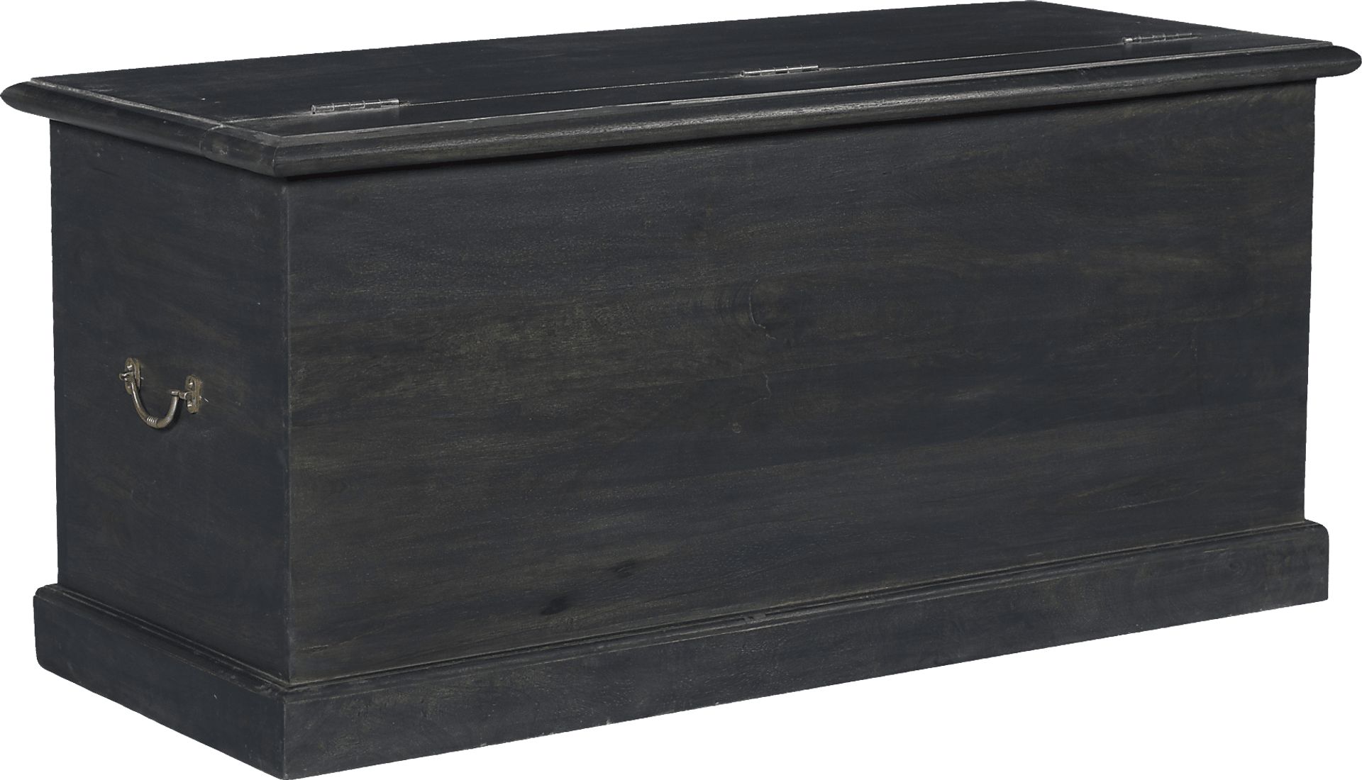 Carved Colony Dark Gray Trunk - Image 5