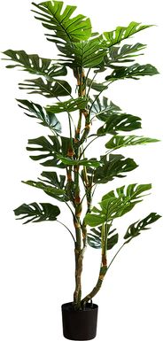 Casron Green Silk Plant