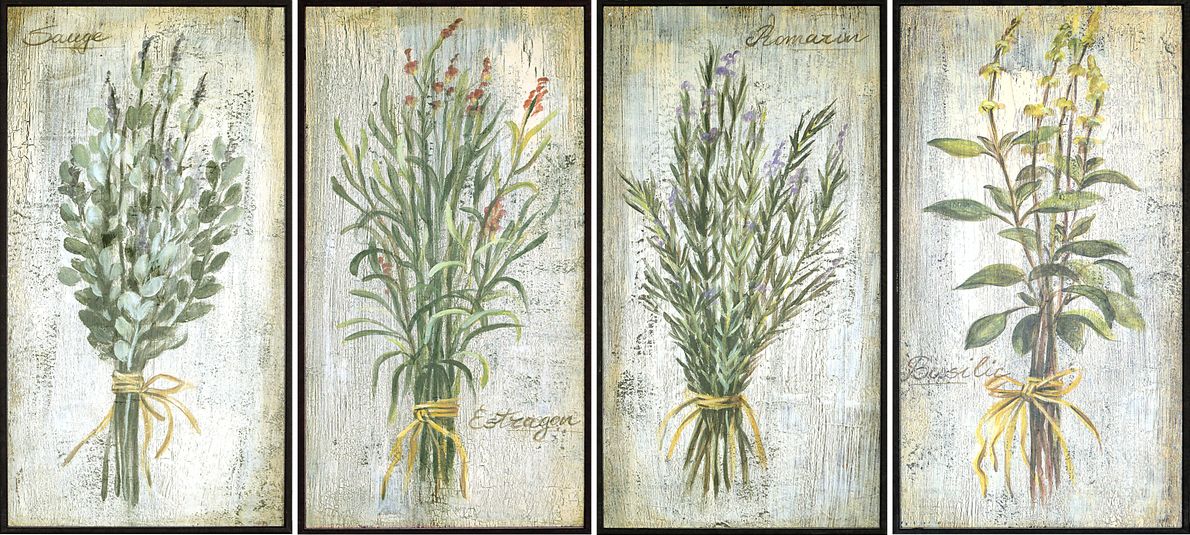 Casual Herbs Set of 4 Artwork