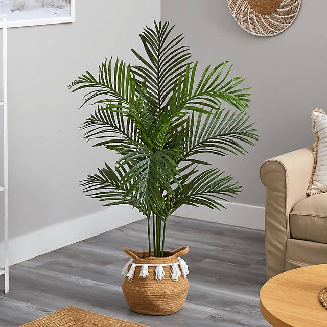Caurina Green Tree with Basket - Thumbnail - Image 3
