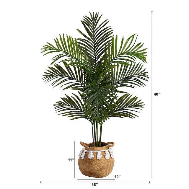 Caurina Green Tree with Basket - Thumbnail - Image 4