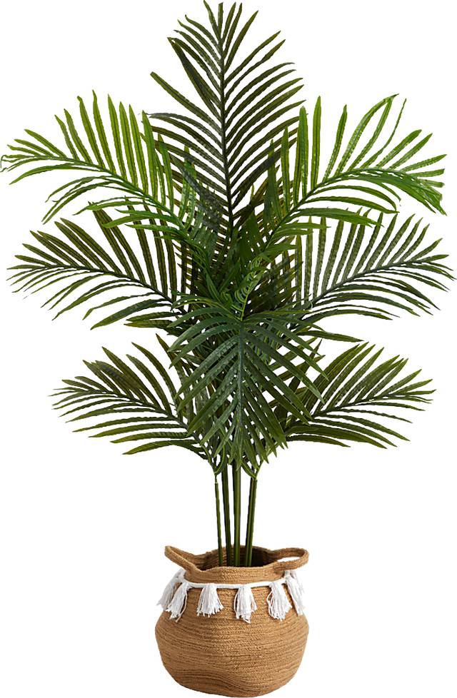 Caurina Green Tree with Basket - Thumbnail - Image 1