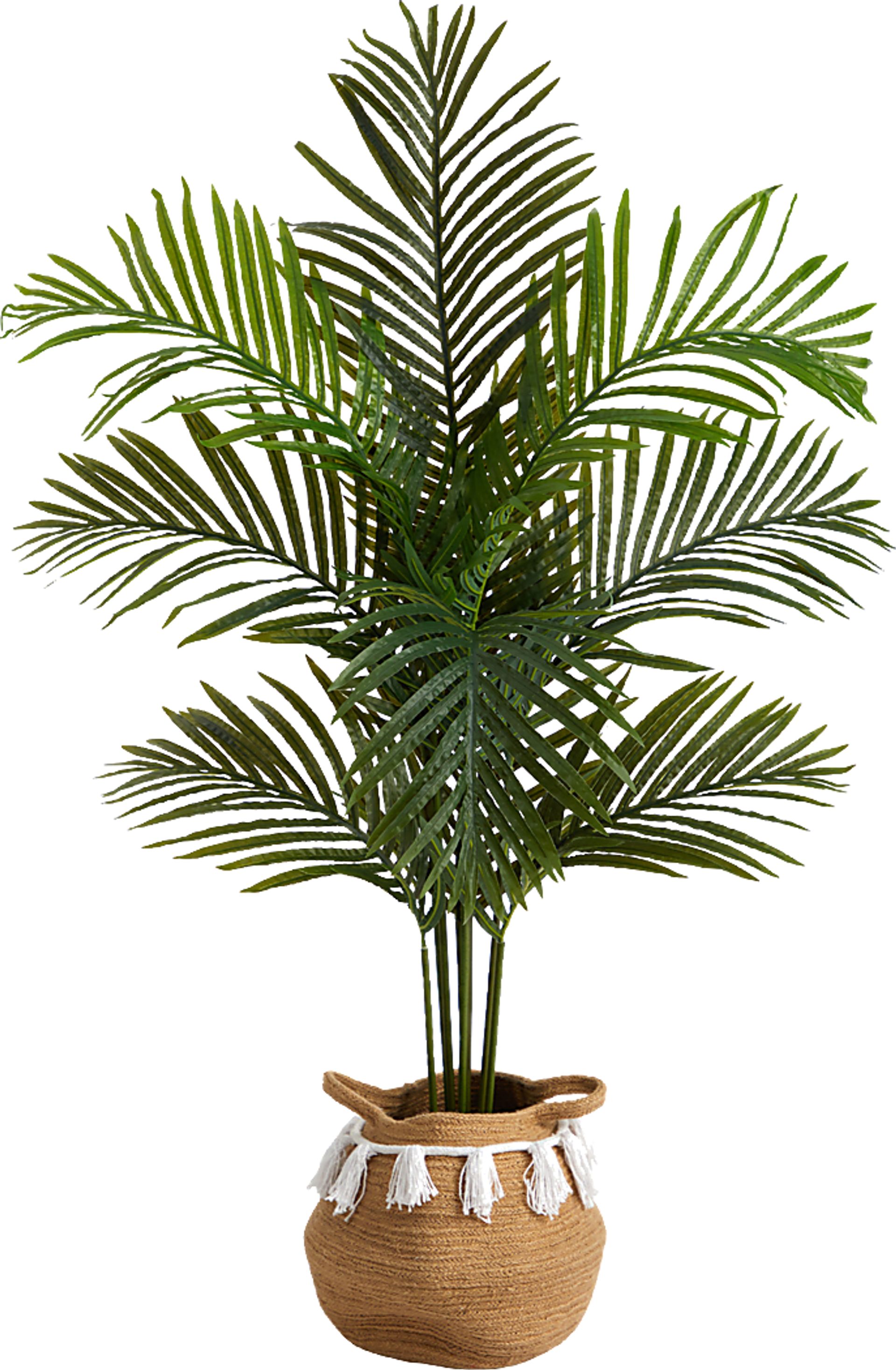 Caurina Green Tree with Basket - Image 1