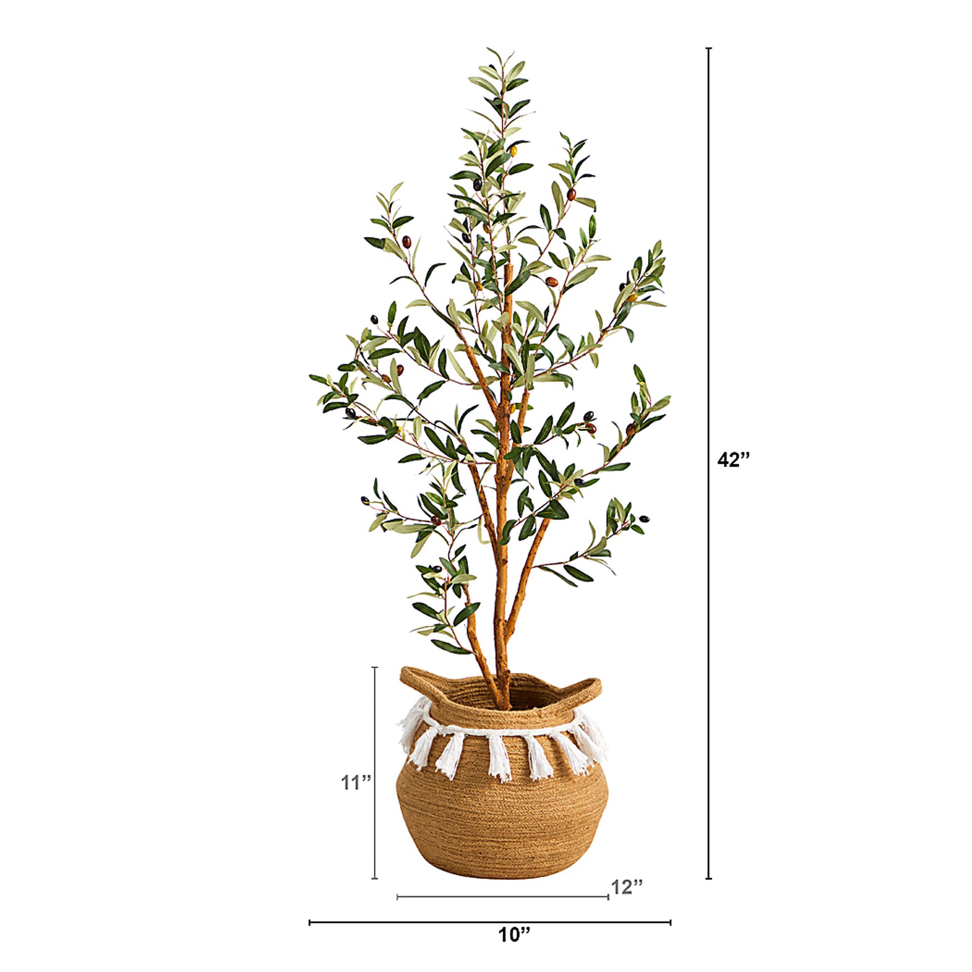 Caurinn Green Tree with Basket - Image 4