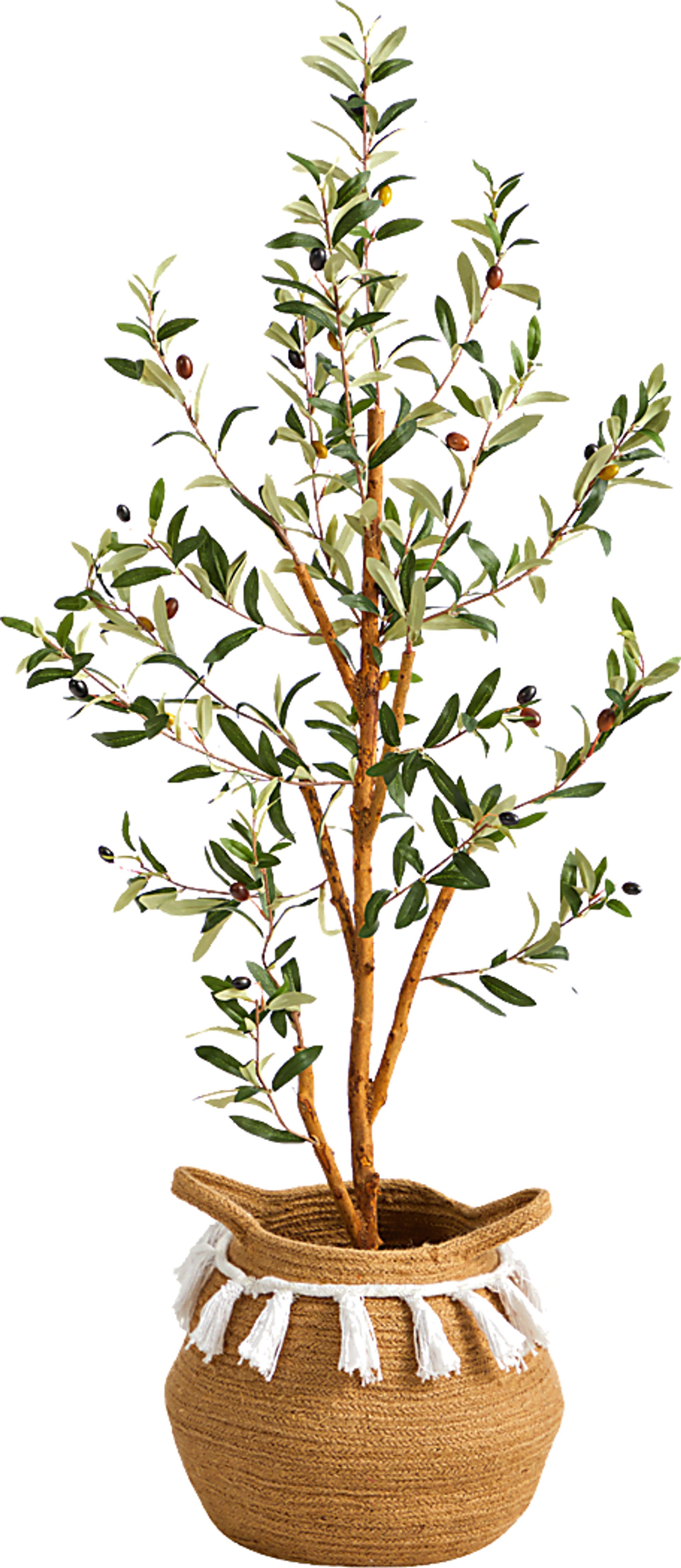 Caurinn Green Tree with Basket - Image 1