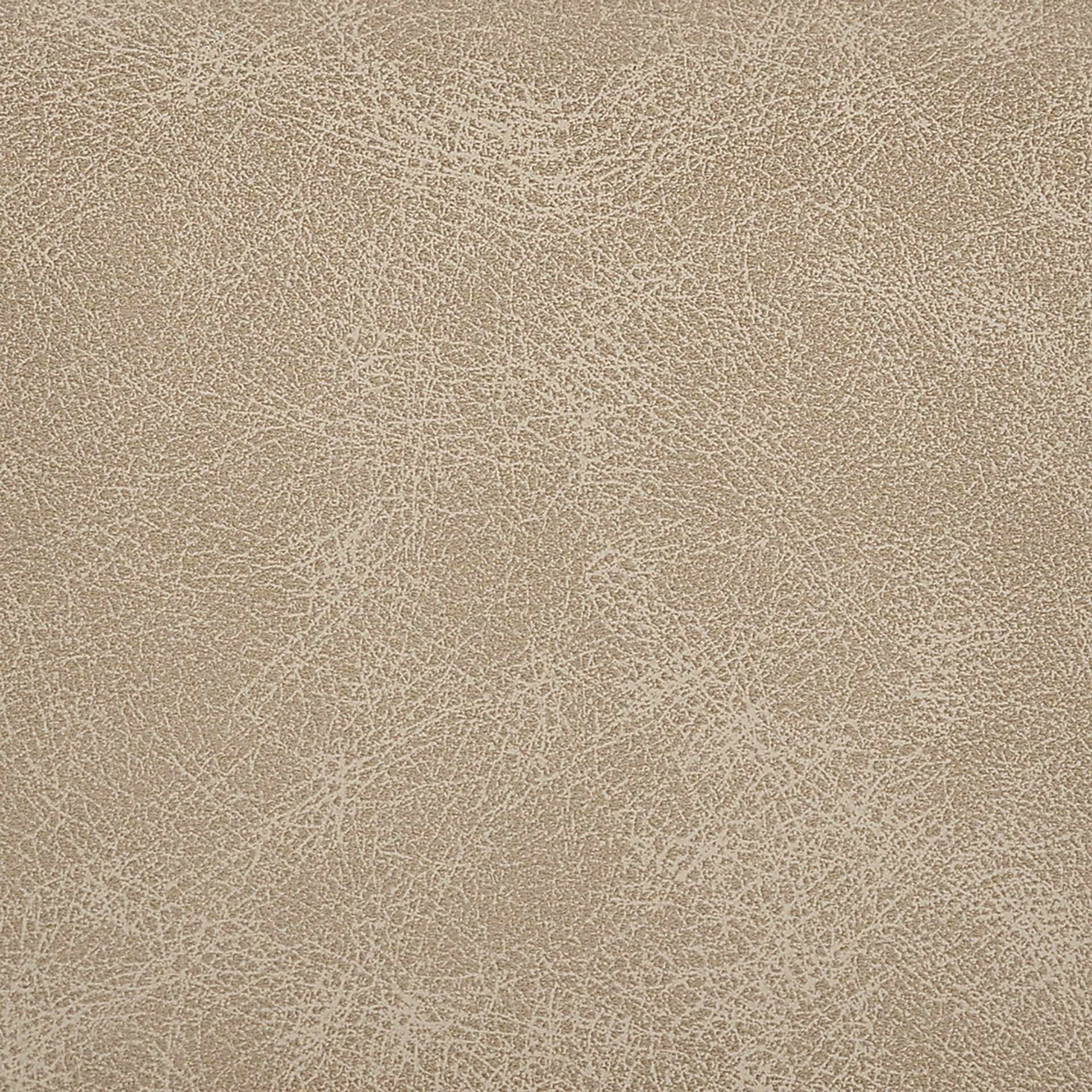 Cavologies Light Brown Counter Height Stool - Image 6