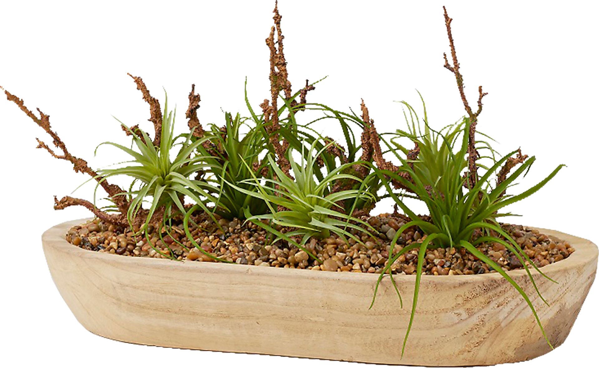 Cayada Brown Plant - Image 1