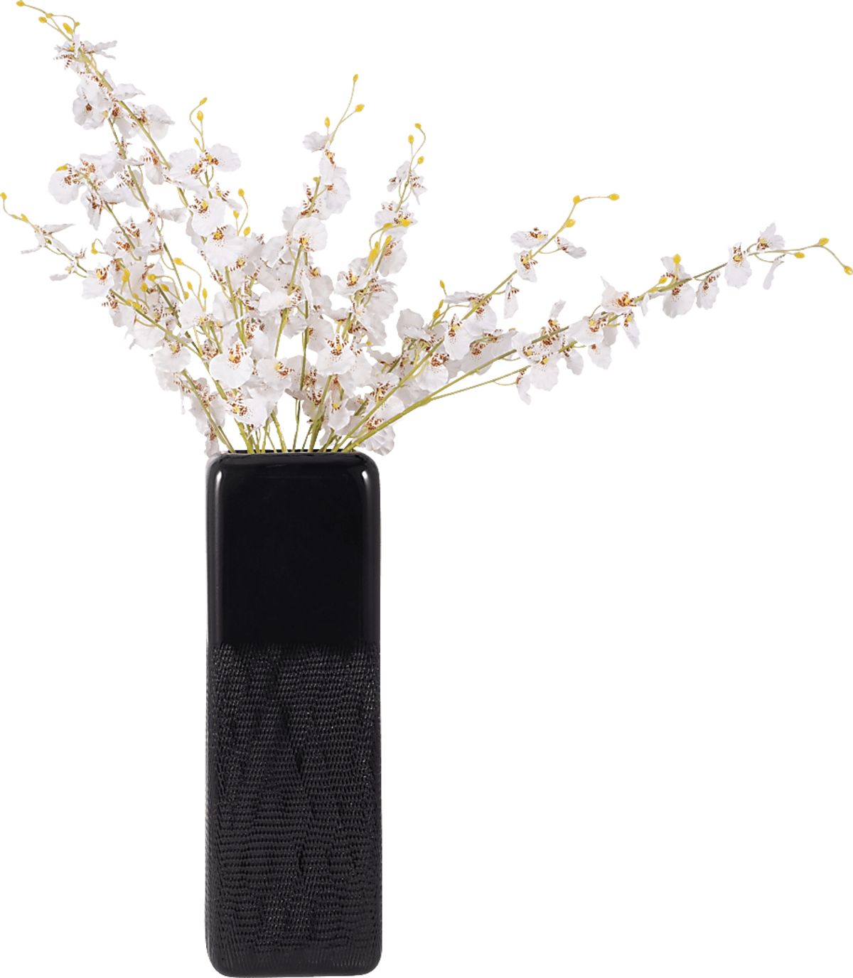 Cecala Black Vase | Rooms to Go