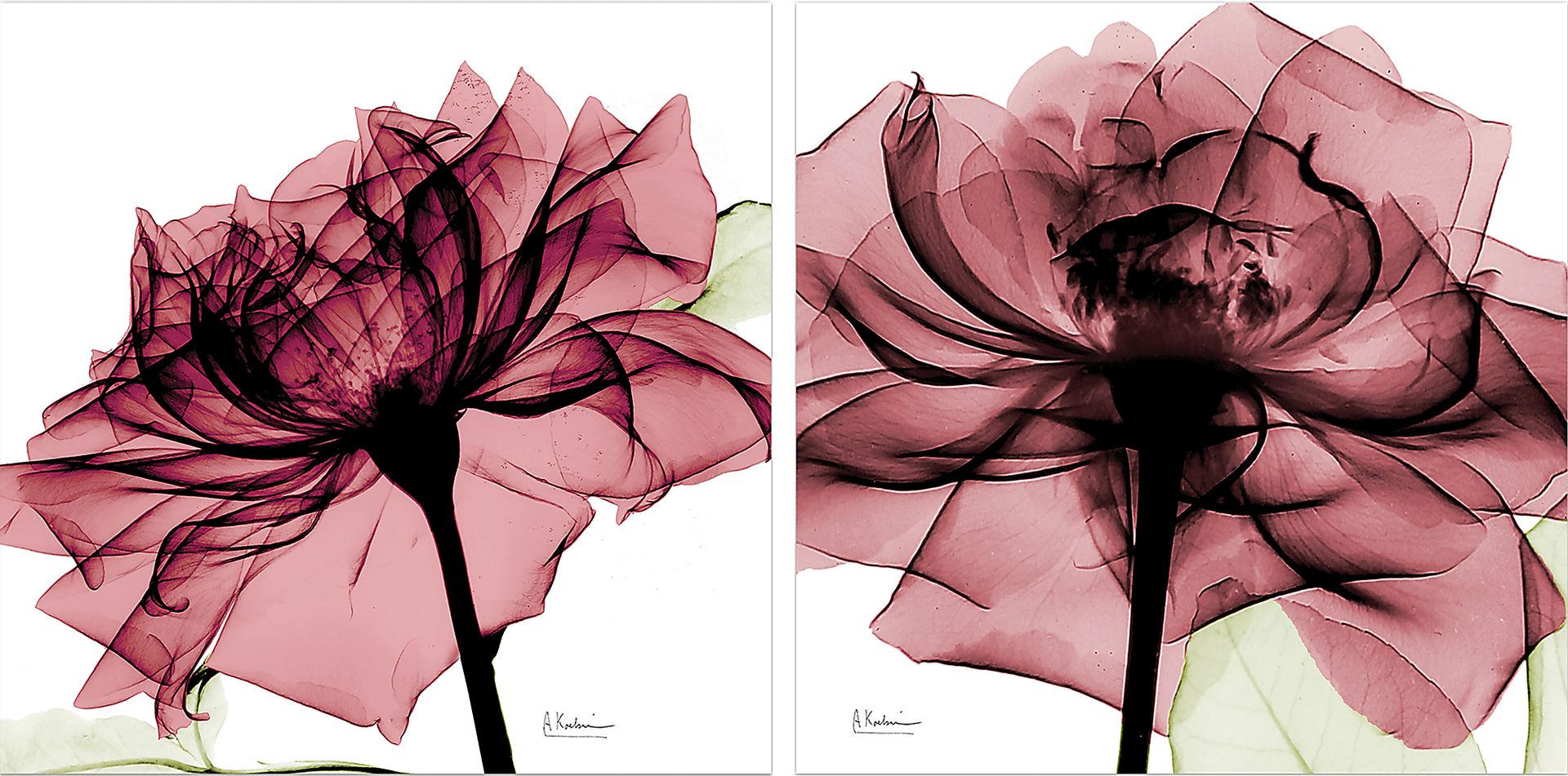 Chamizal Pink Artwork, Set of 2 - Image 1