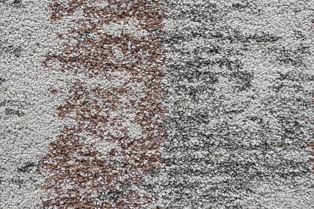 Chantelle Ivory 8' x 10' Rug - Thumbnail - Image 2