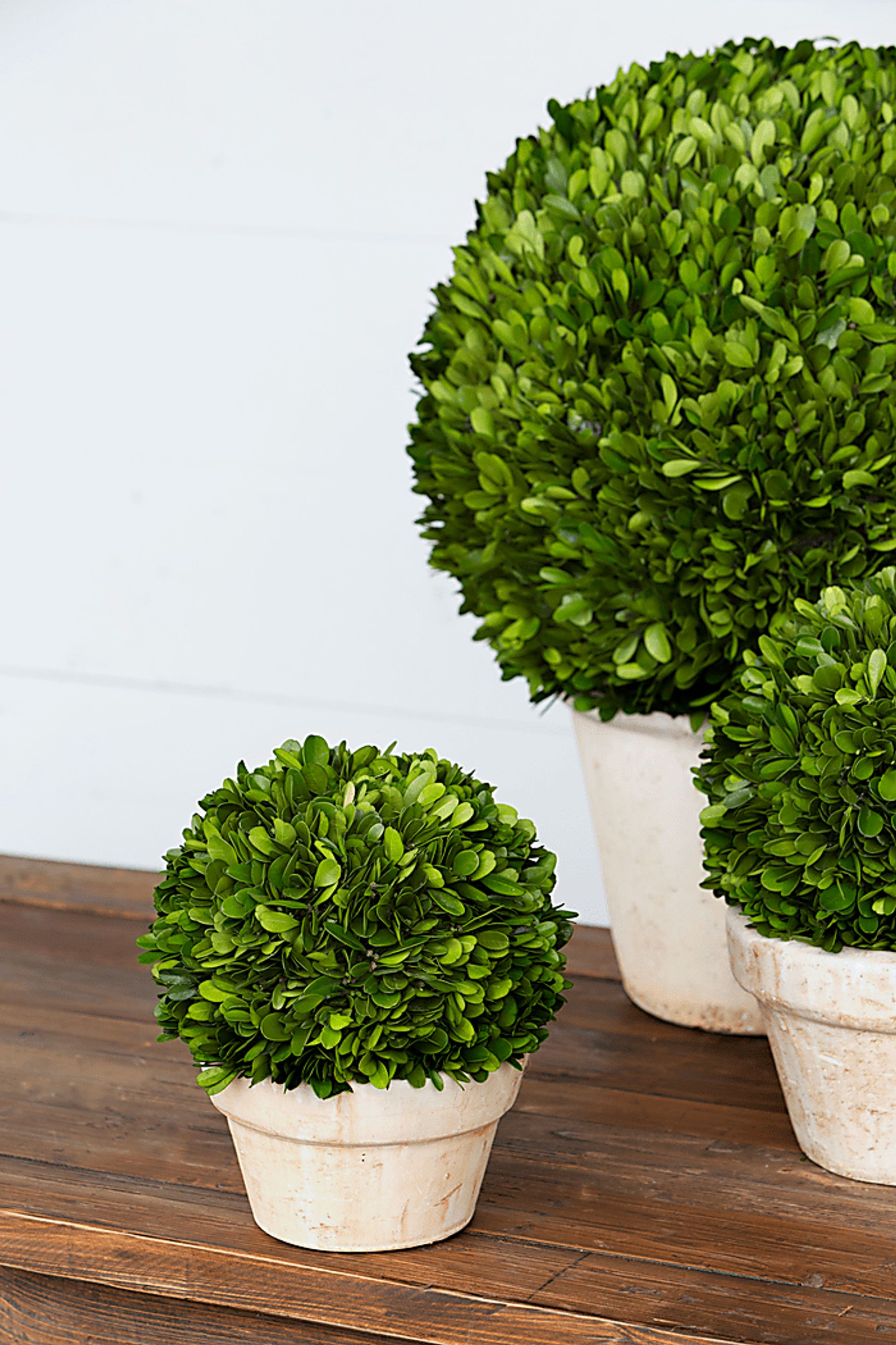 Charis Green Vase - Image 2