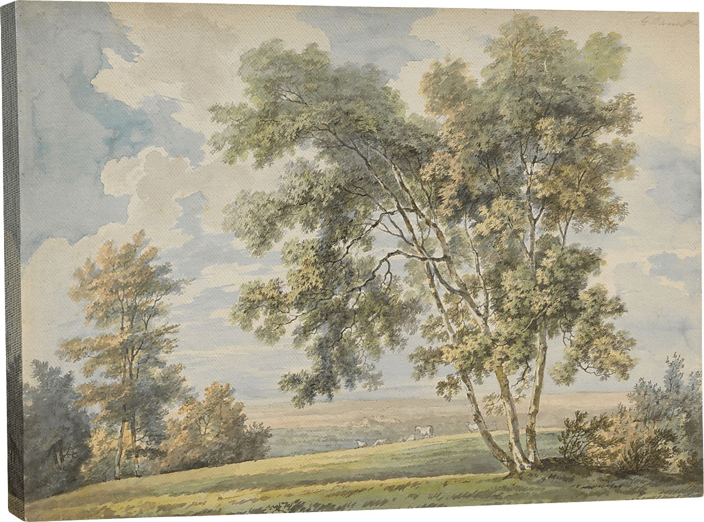 Chaucier Green Canvas Wall Art