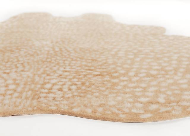Chazin Beige 5'3 x 7'10 Rug - Thumbnail - Image 5