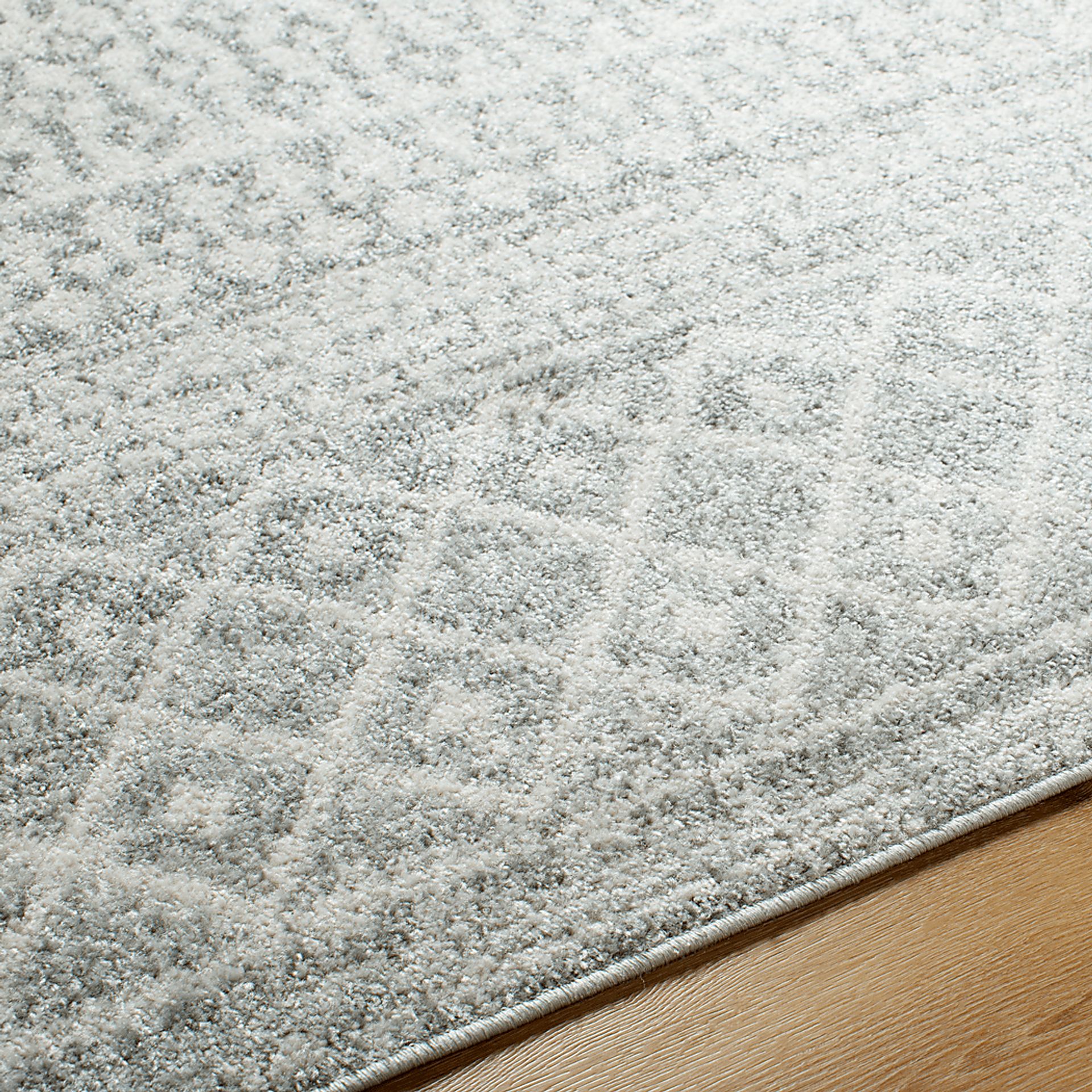 Chelsina I Light Gray 3' x 5' Rug - Image 11