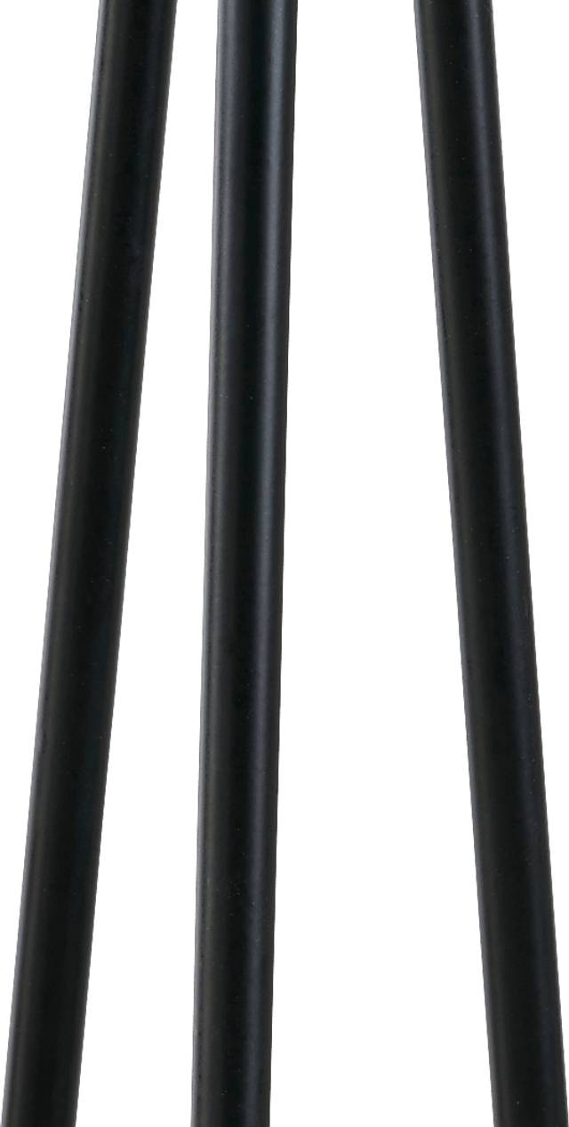 Cheri Peak Black Floor Lamp - Thumbnail - Image 5