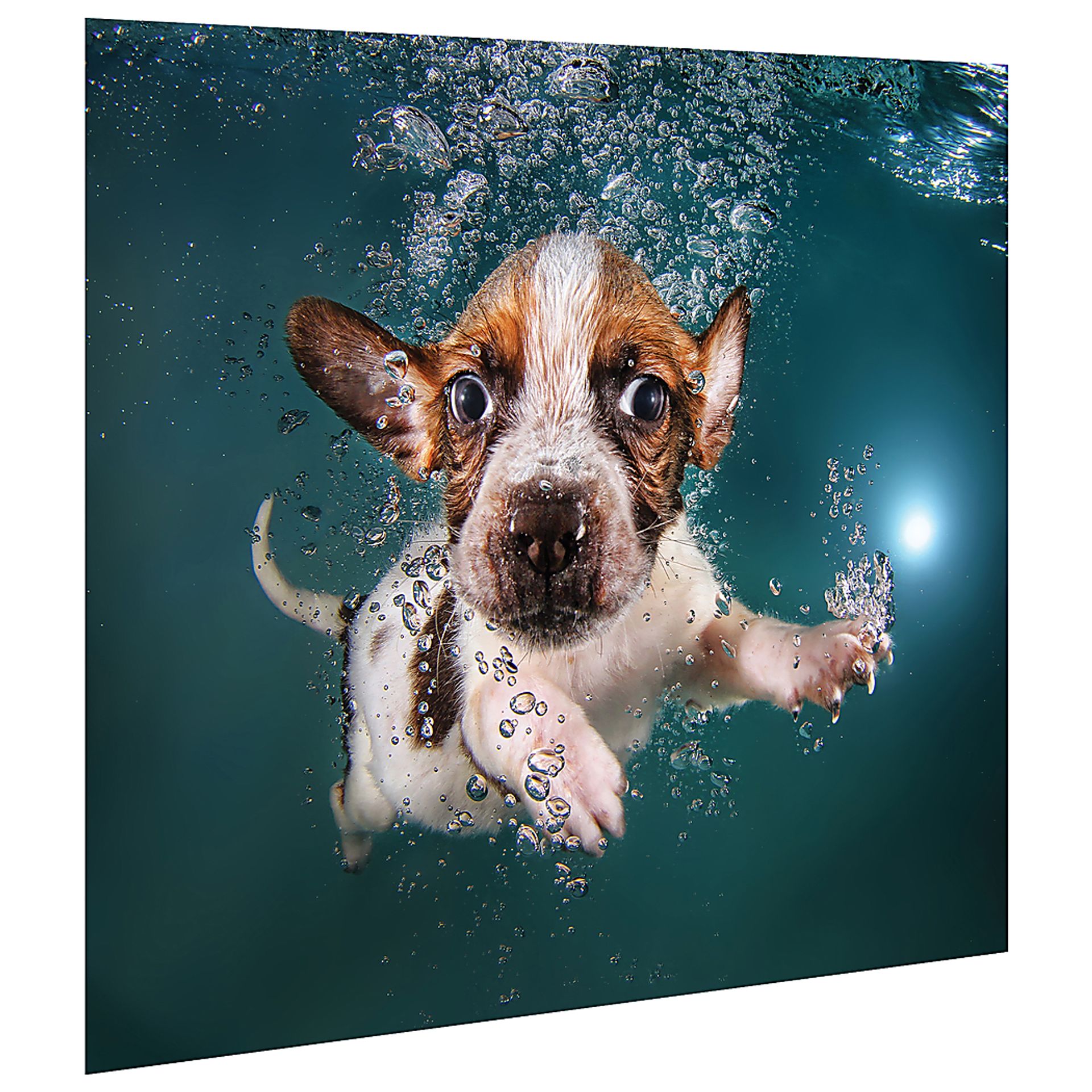 Chipper's Dive Artwork - Image 2