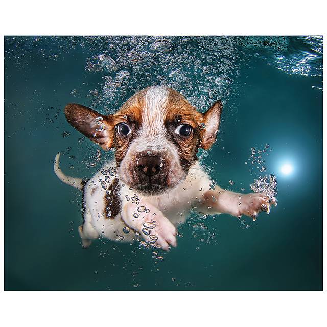 Chipper's Dive Artwork - Thumbnail - Image 1
