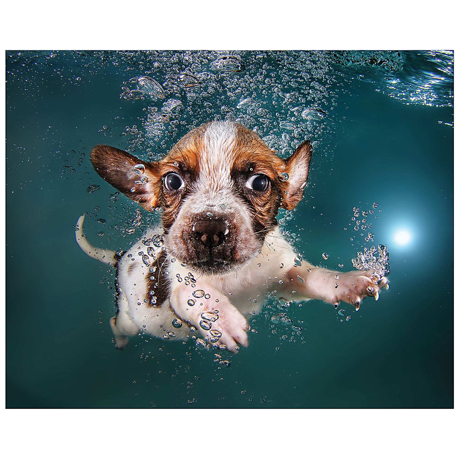 Chipper's Dive Artwork - Image 1