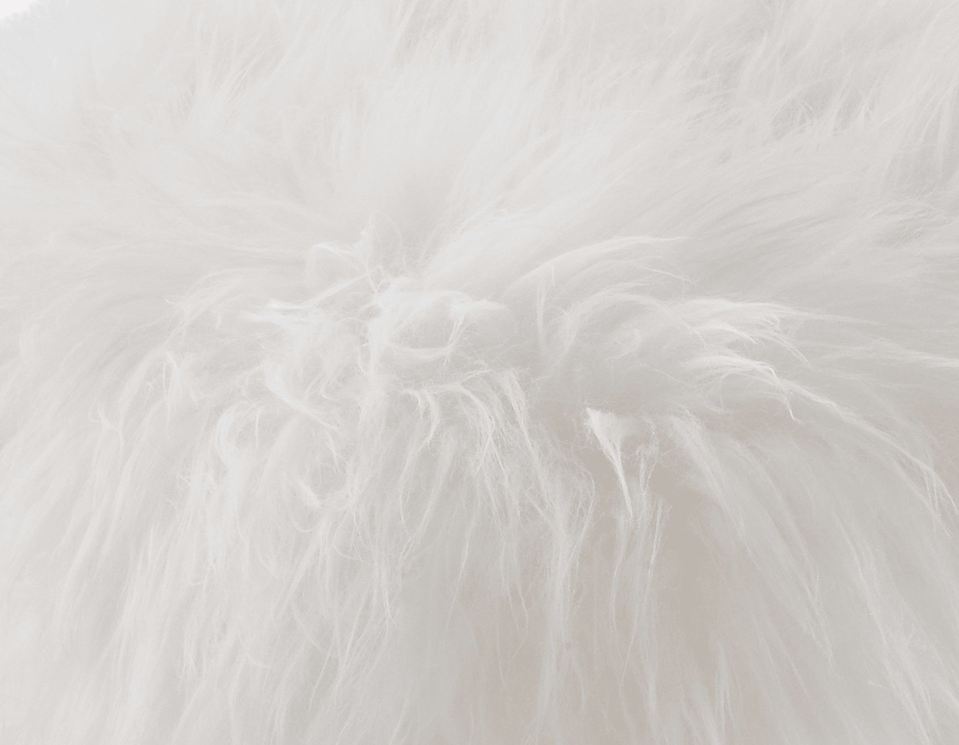 Churra White Bench - Image 4