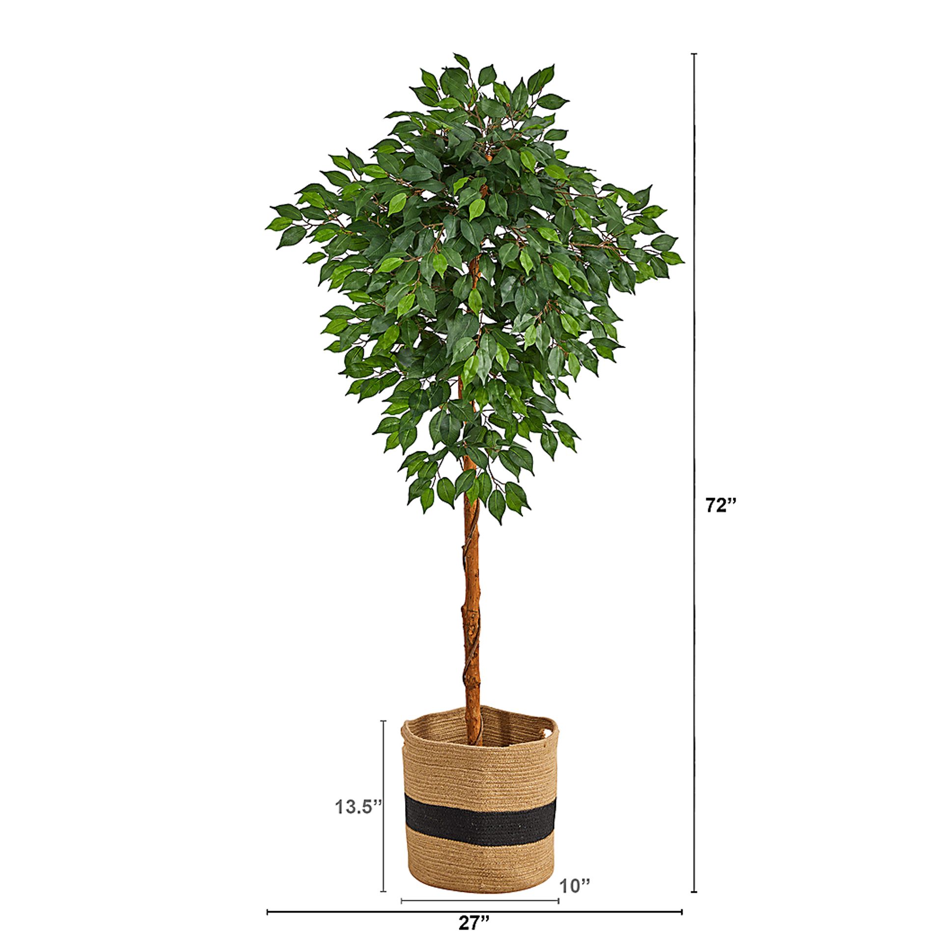 Cipriano Green Tree with Basket - Image 4
