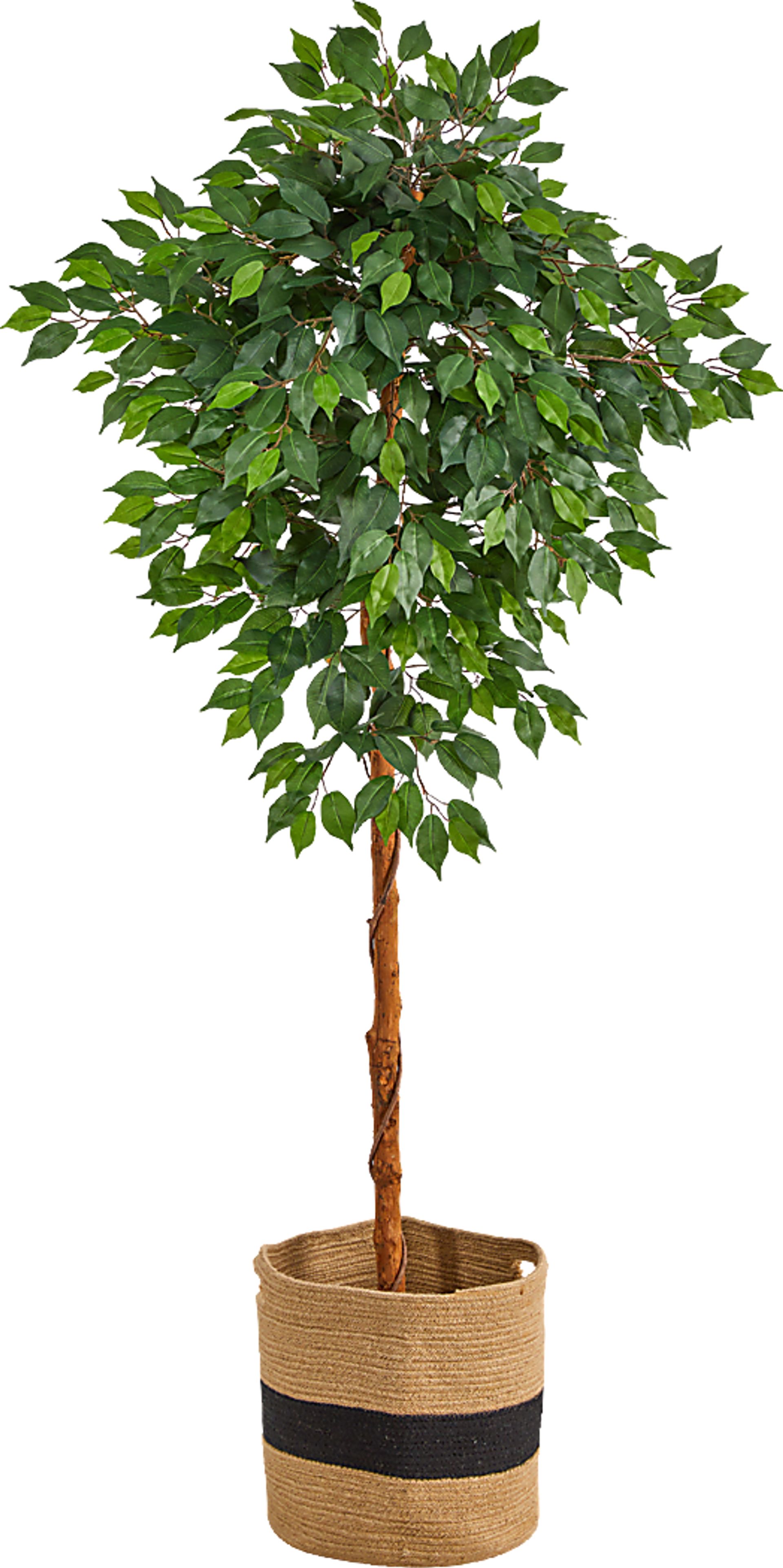 Cipriano Green Tree with Basket - Image 1