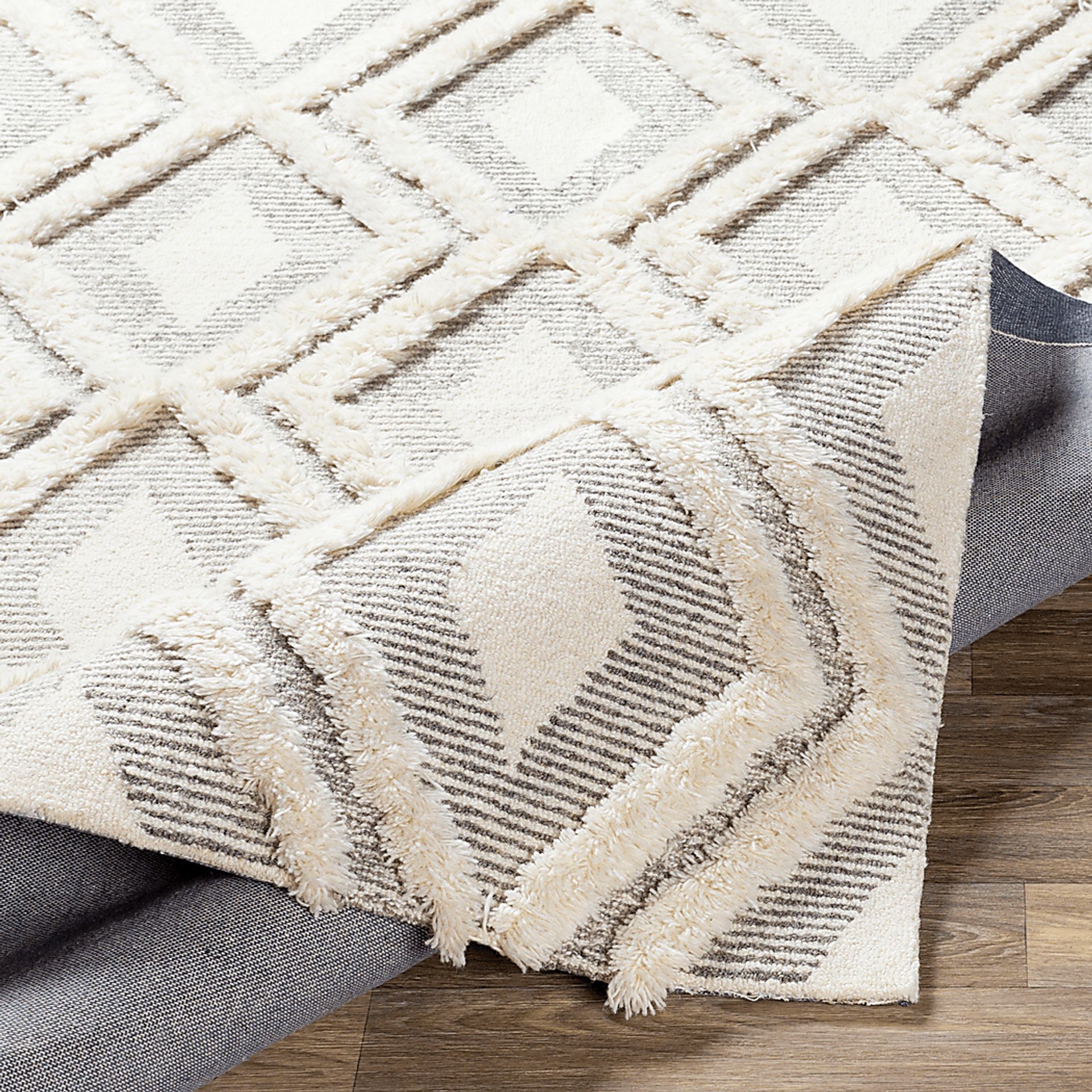 Claryna Cream 8' x 10' Rug - Image 4