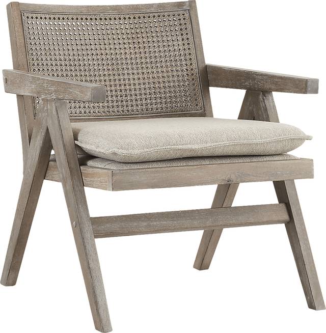 Cleanova Gray Accent Chair - Thumbnail - Image 1
