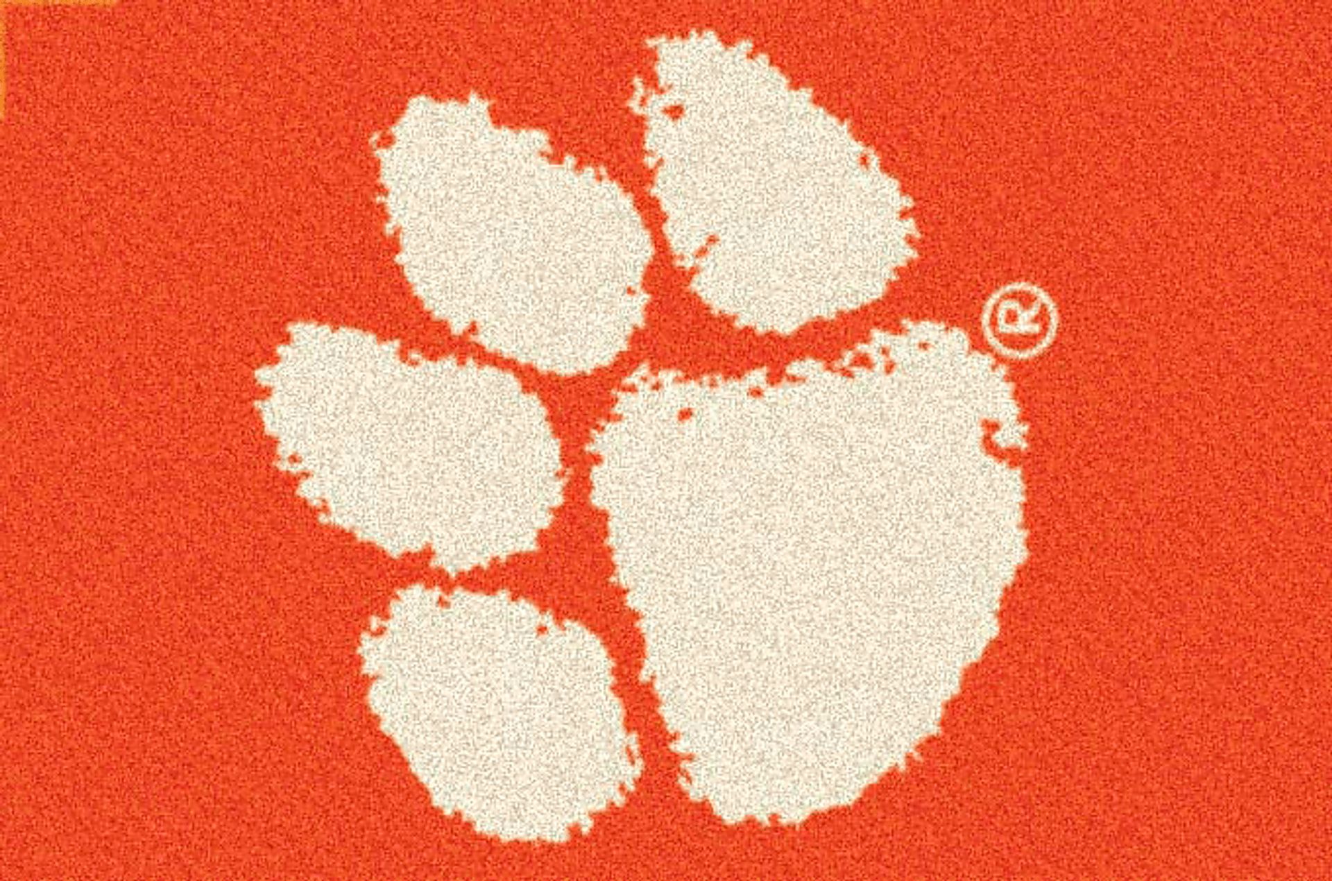 Clemson University 5 x 8 Orange Paw Mascot Rug - Image 1