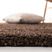 Cleona Brown 8' x 10' Rug