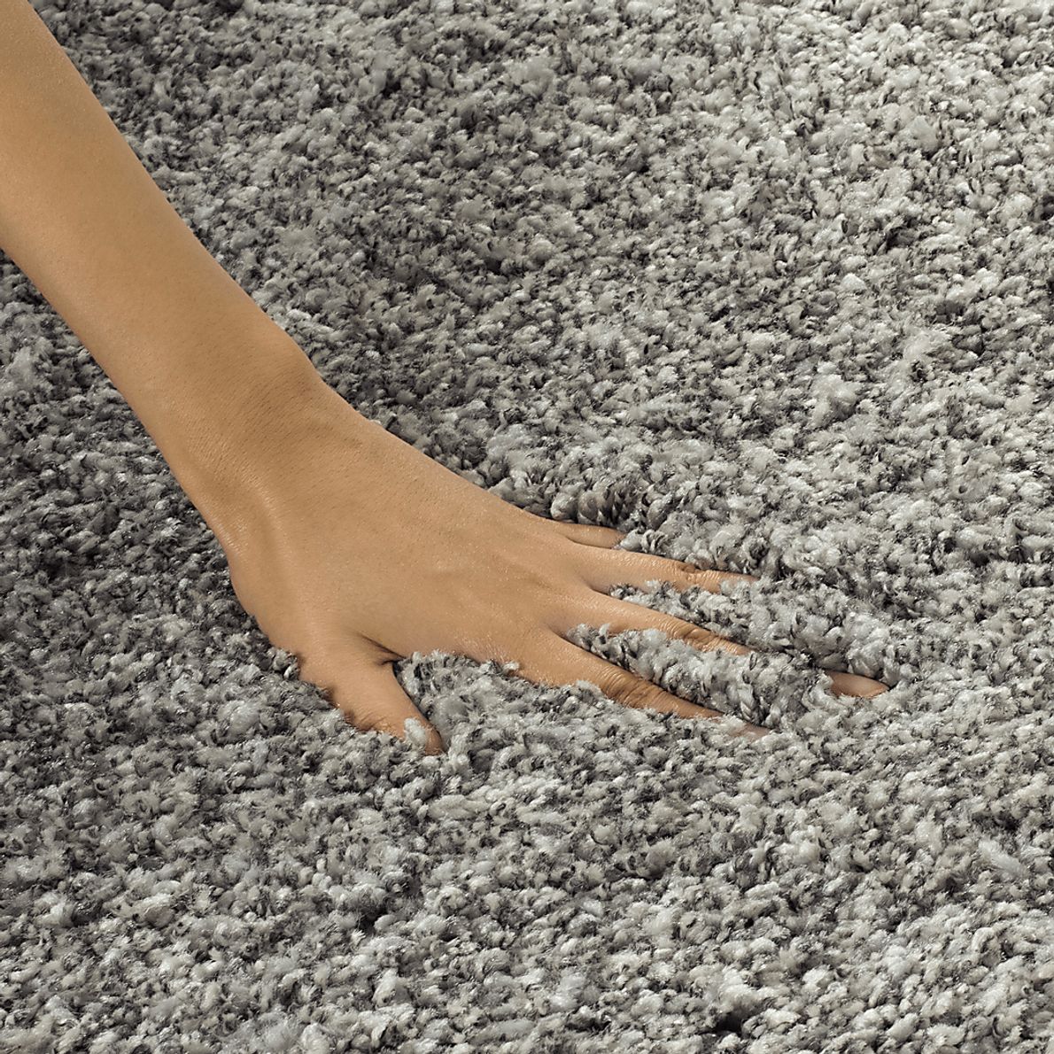 Cleona Silver 4' x 6' Rug