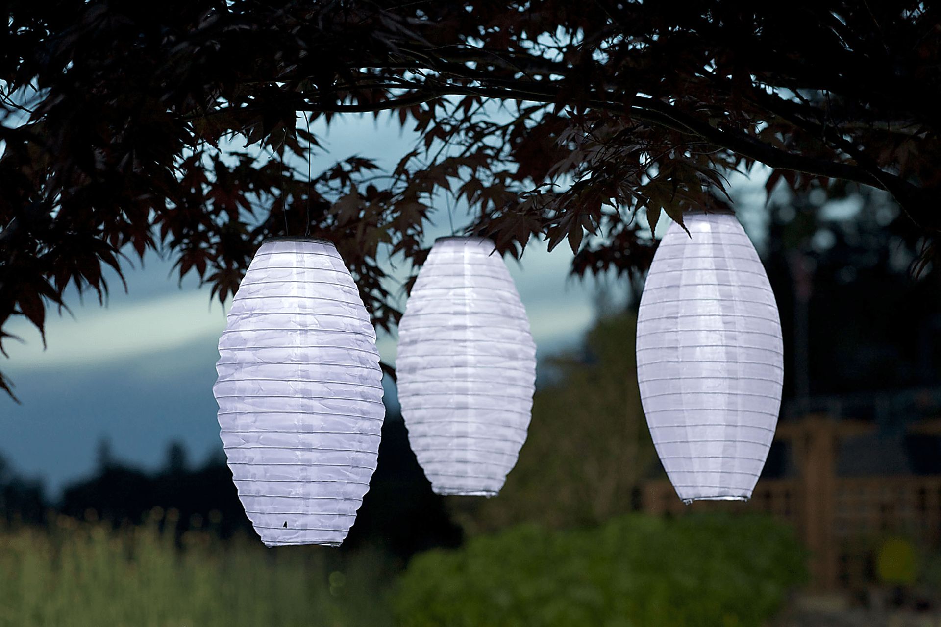 Clovedale White Outdoor Solar Lantern - Image 3