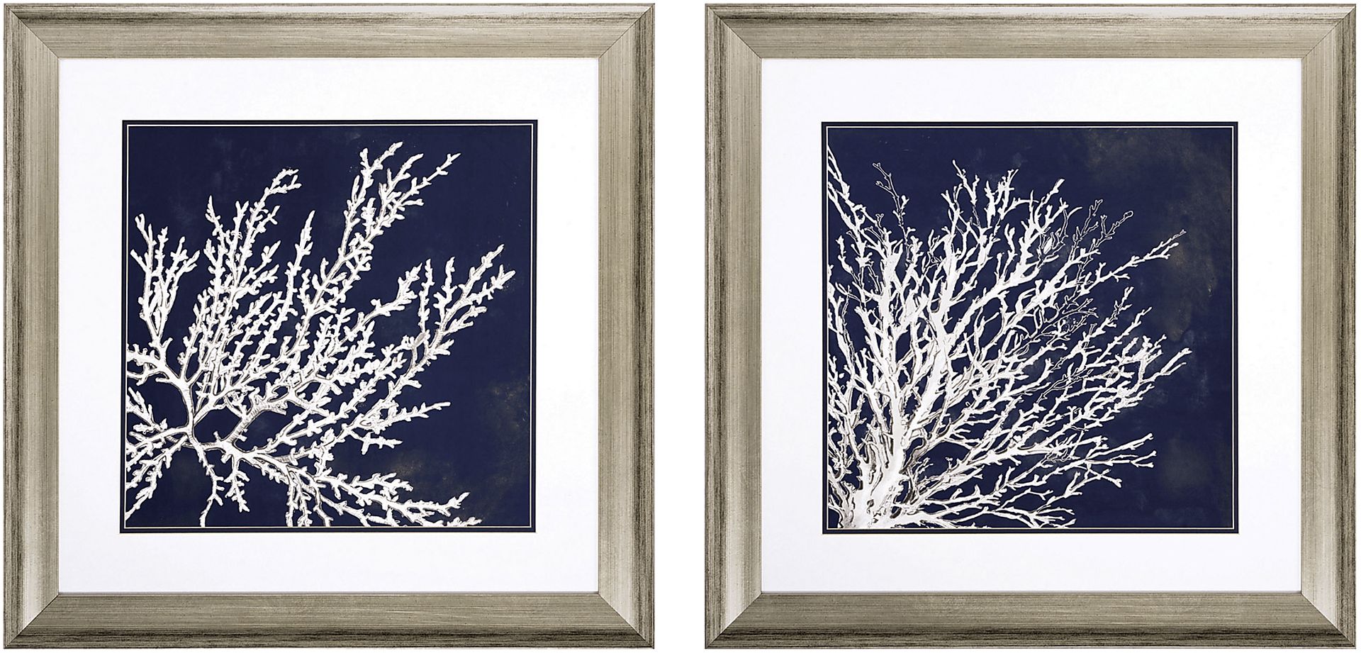 Coastal Coral Set of 2 Artwork - Image 1
