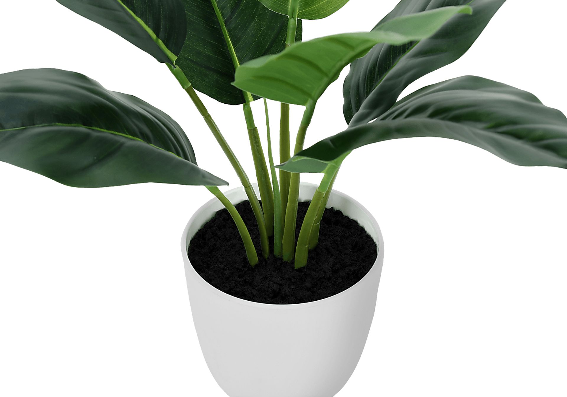 Coastline Green Artificial Aureum Plant - Image 3