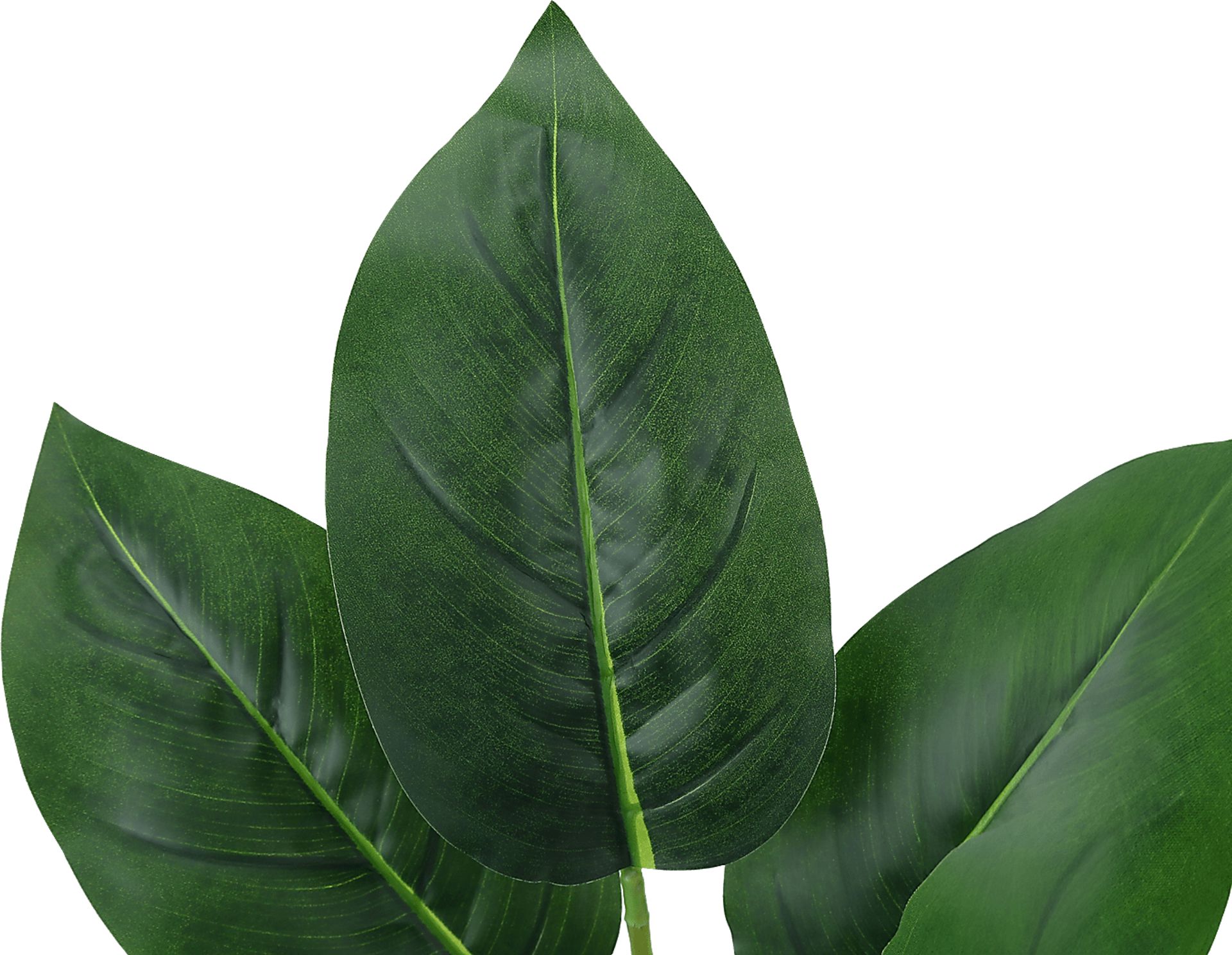 Coastline Green Artificial Aureum Plant - Image 4