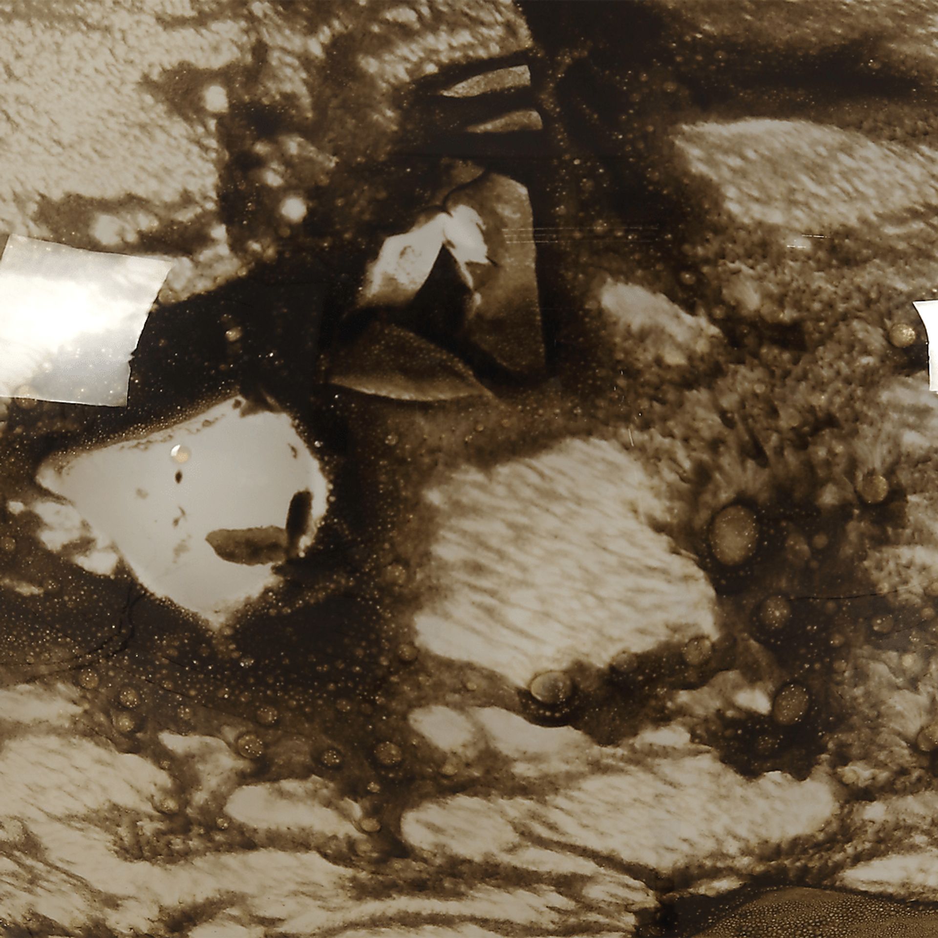 Coltan Brown Lamp - Image 7